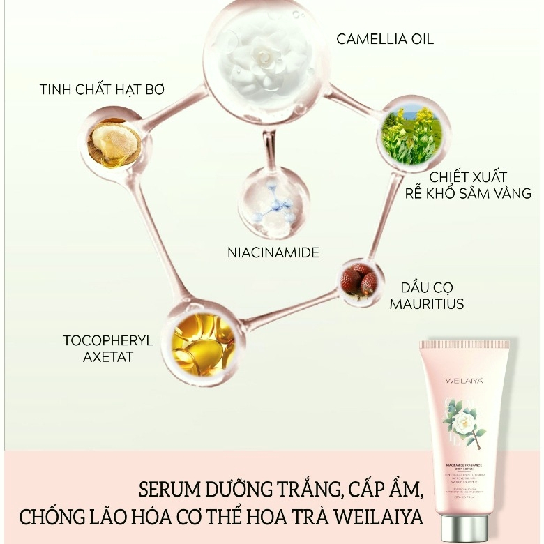 Serum dưỡng thể trắng da hoa trà Weilaiya-hàn