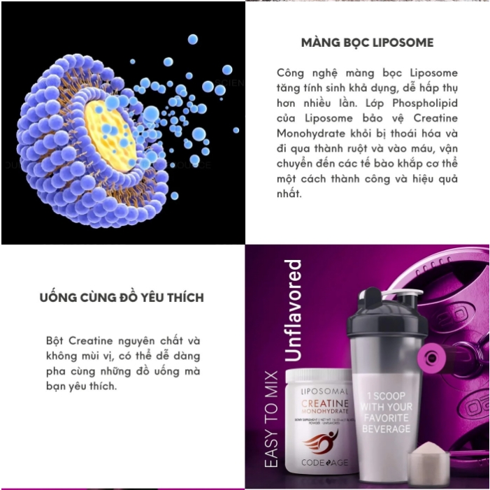 Bột uống bổ sung Creatine hỗ trợ tăng cơ Codeage Liposomal Creatine Monohydrate 455g
