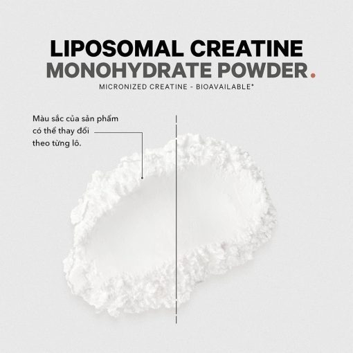 Bột uống bổ sung Creatine hỗ trợ tăng cơ Codeage Liposomal Creatine Monohydrate 455g