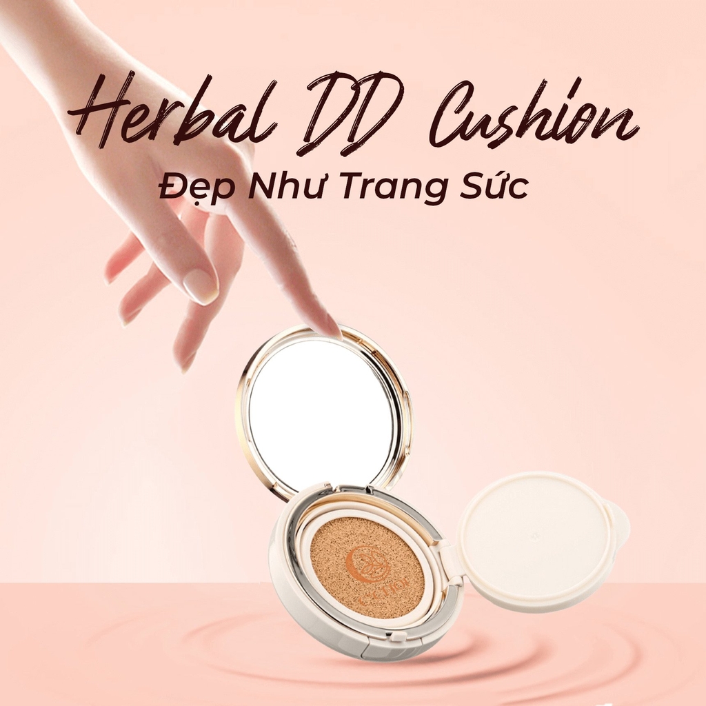 Combo Phấn Nước + Lõi C'Choi Herbal DD Cushion