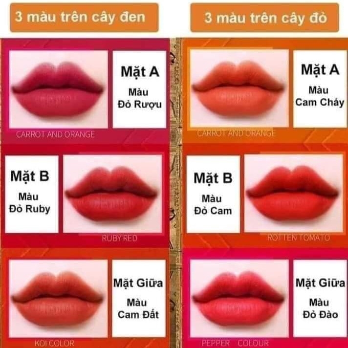 SON 6 MÀU AGAG SON MÔI LÌ MẪU MỚI ĐỘC LẠ CÓ 6 MÀU CHUẨN TRONG 1 CÂY SON KT2 - GDN