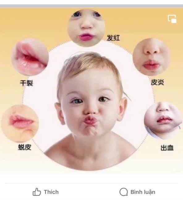 Son dưỡng môi Wakodo cho bé Nhật Bản 5g
