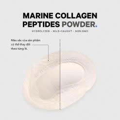 Collagen cá đại dương Codeage Marine Collagen Peptides