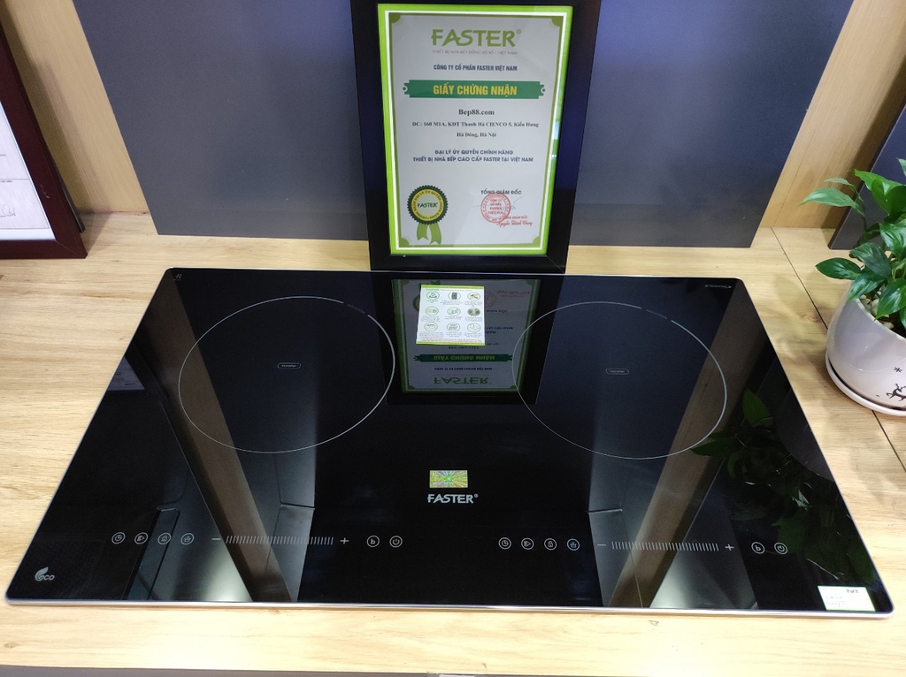 Bếp từ đôi Faster 389i