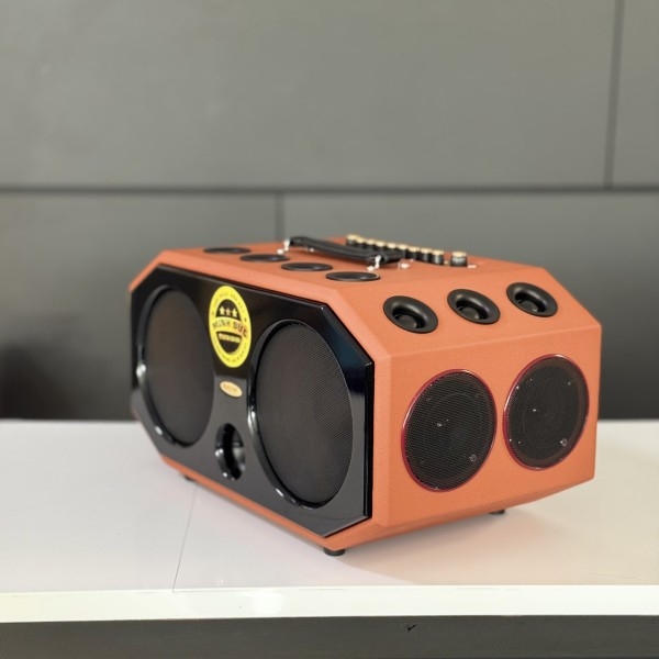 Loa Di Động Xách Tay OMATON SK - 8900LUXURY