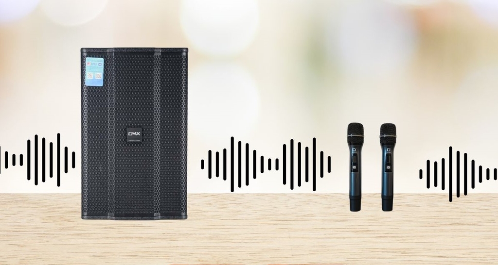 Micro không dây DMX U-2800S - MỚI