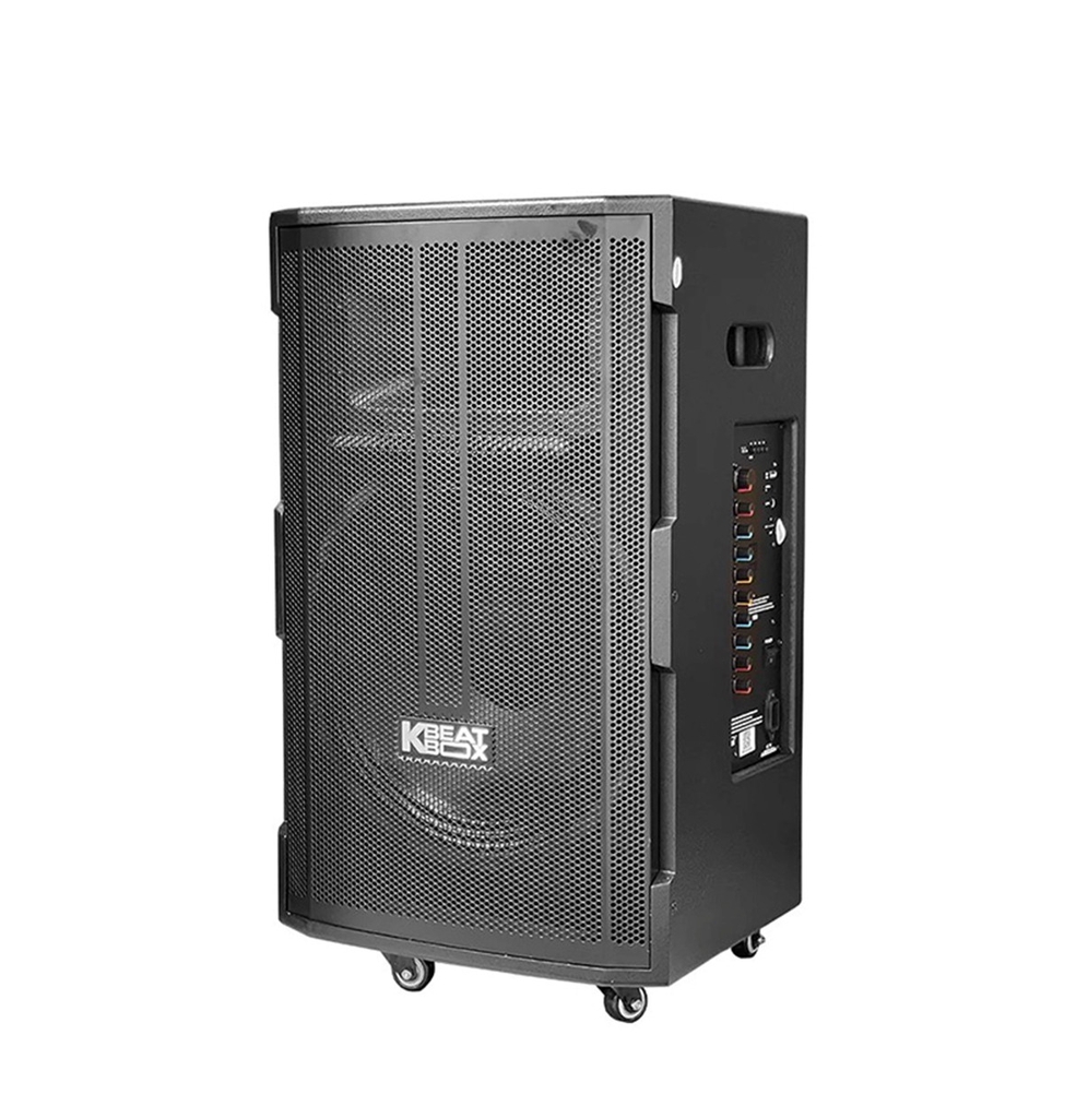 Loa Kéo ACNOS CB39D (Bass 40cm)