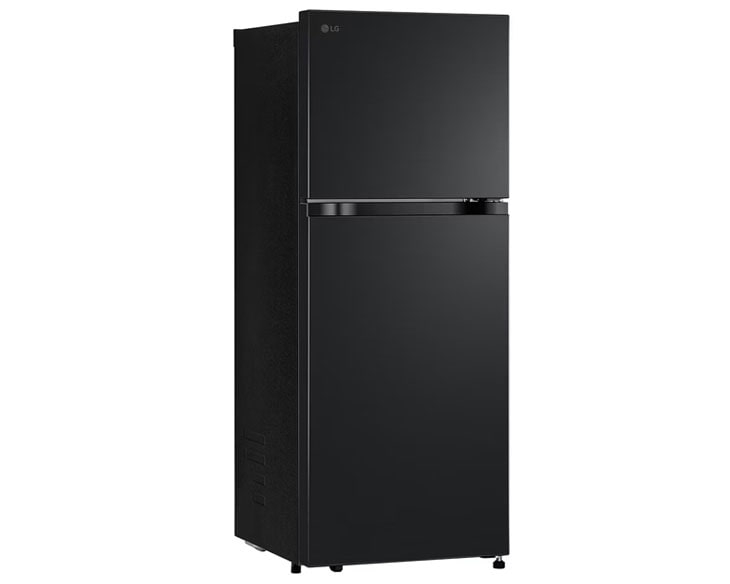 Tủ lạnh LG 217 lít LTB21BLMD