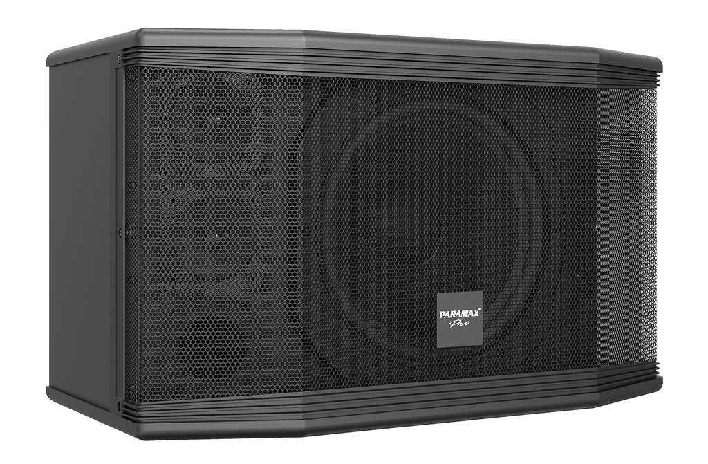 Loa dàn karaoke Paramax PRO-C10