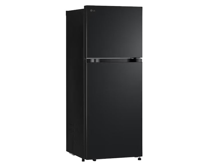 Tủ lạnh LG Inverter 217 lít LTB21BLMI