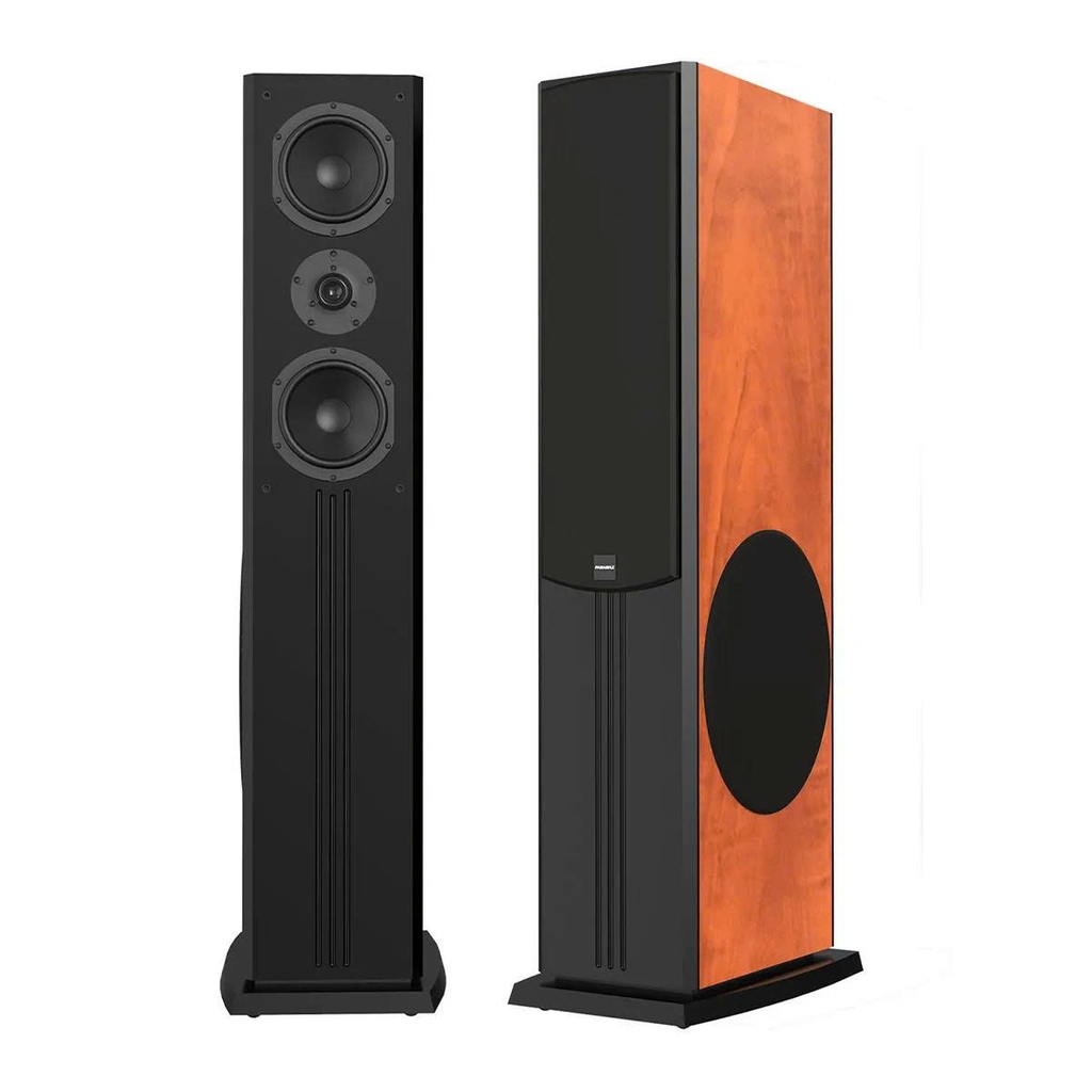 Loa dàn karaoke Paramax D88 Limited