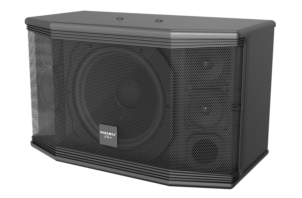 Loa dàn karaoke Paramax PRO-C10