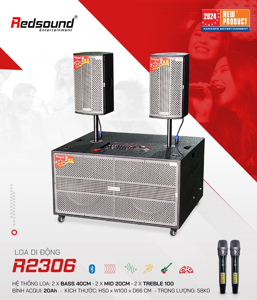 Loa di động Redsound R2306 (950W)