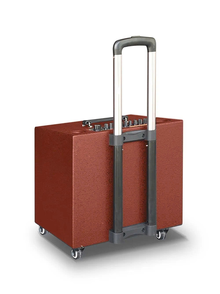 Loa kéo di động Redsound bass 2 tấc đôi P-208A