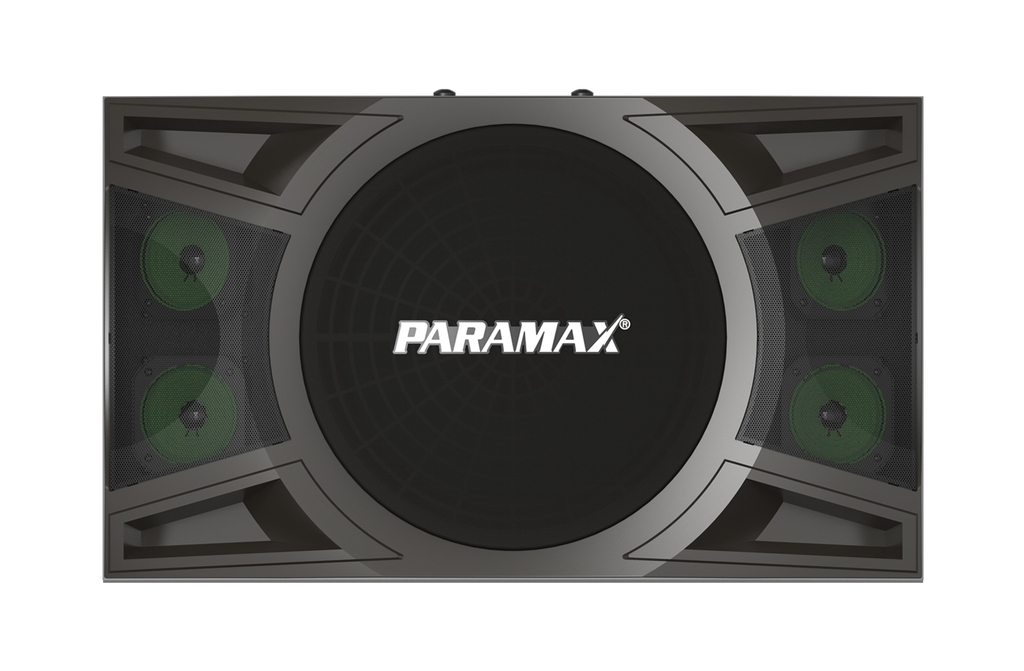 Loa Karaoke PARAMAX 10-inch P-1000