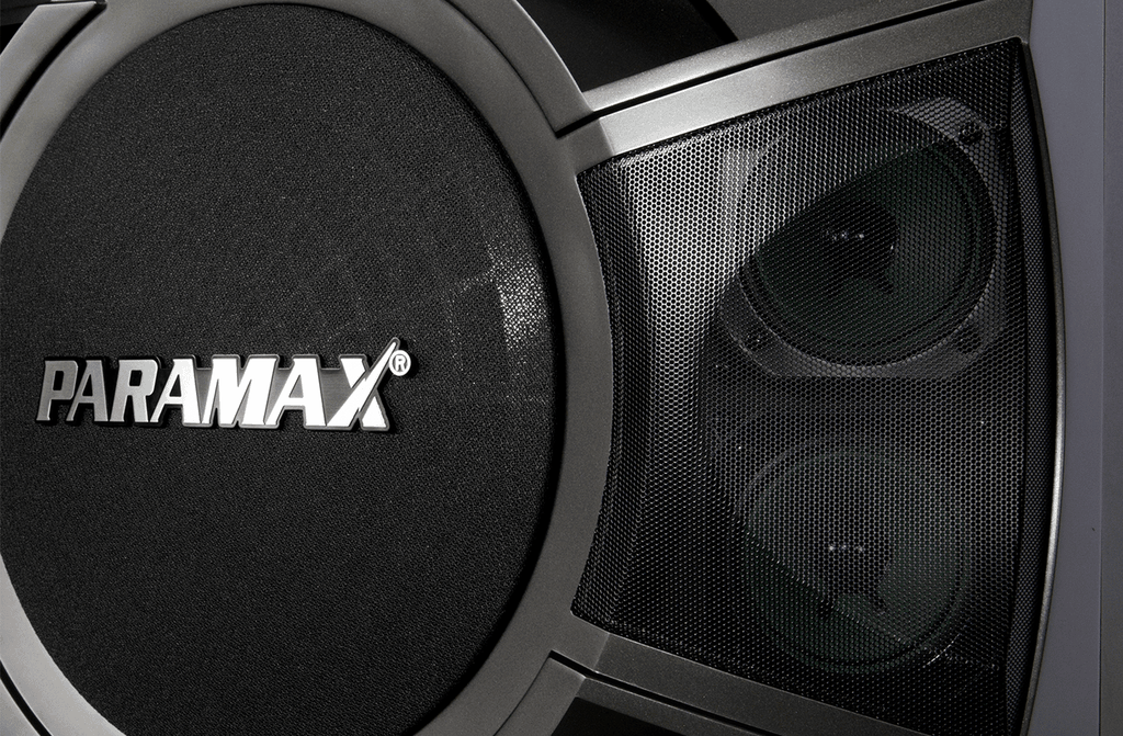 Loa Karaoke PARAMAX 10-inch P-1000
