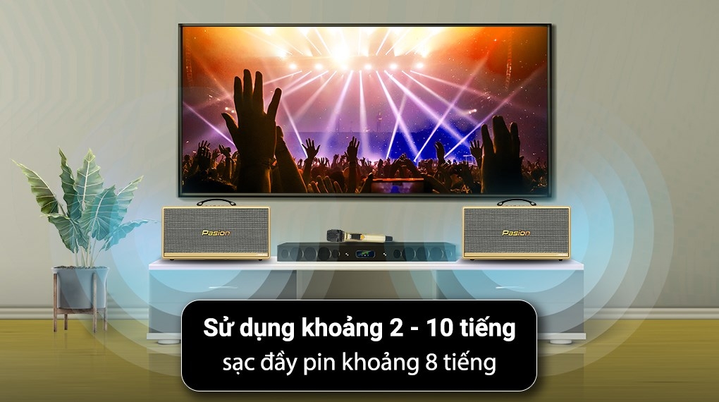 Loa karaoke xách tay PASION 2c