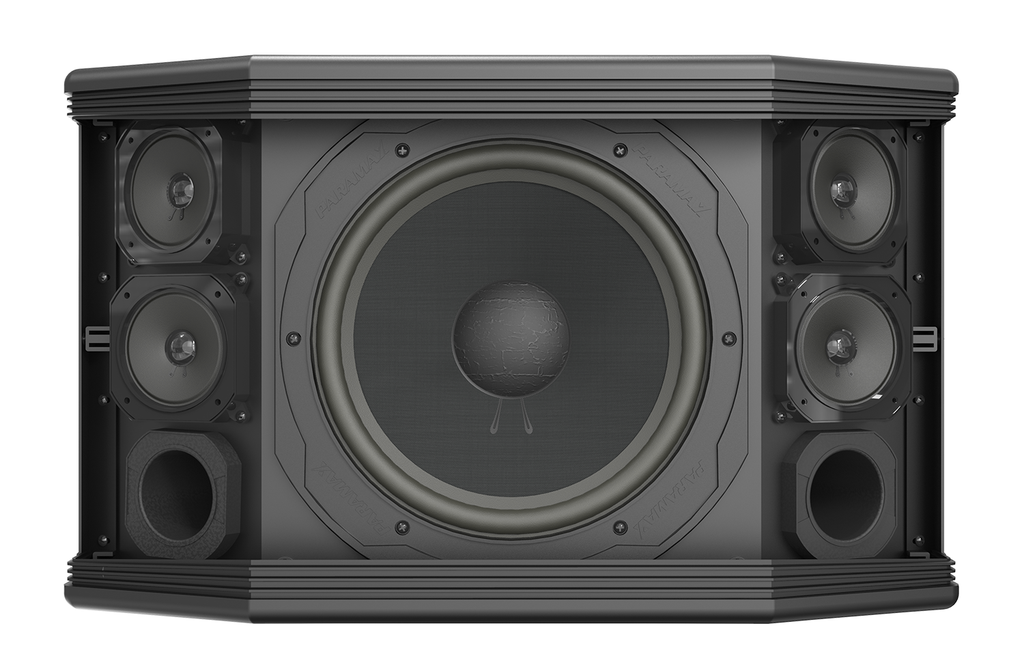 Loa dàn karaoke Paramax PRO-C10