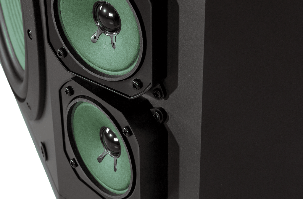 Loa Karaoke PARAMAX 10-inch P-1000