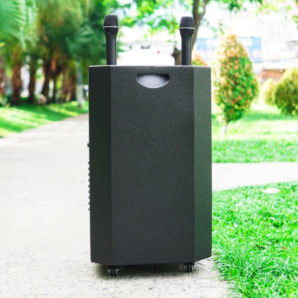 Loa Kéo Nanomax SK-1202 Bass 30cm