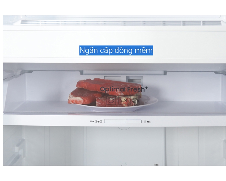 Tủ lạnh Samsung Inverter 406 lít RT42CG6584B1SV