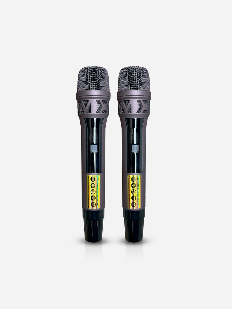 Loa gập di động (Bình AC QUI) Redsound Bass đôi 4 tấc gập R2411