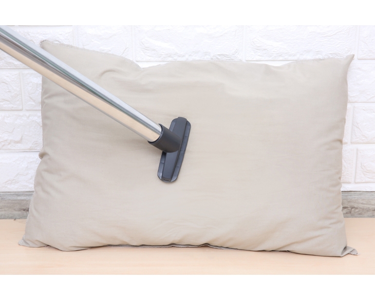 Máy hút bụi dạng hộp Electrolux EC31-2BB