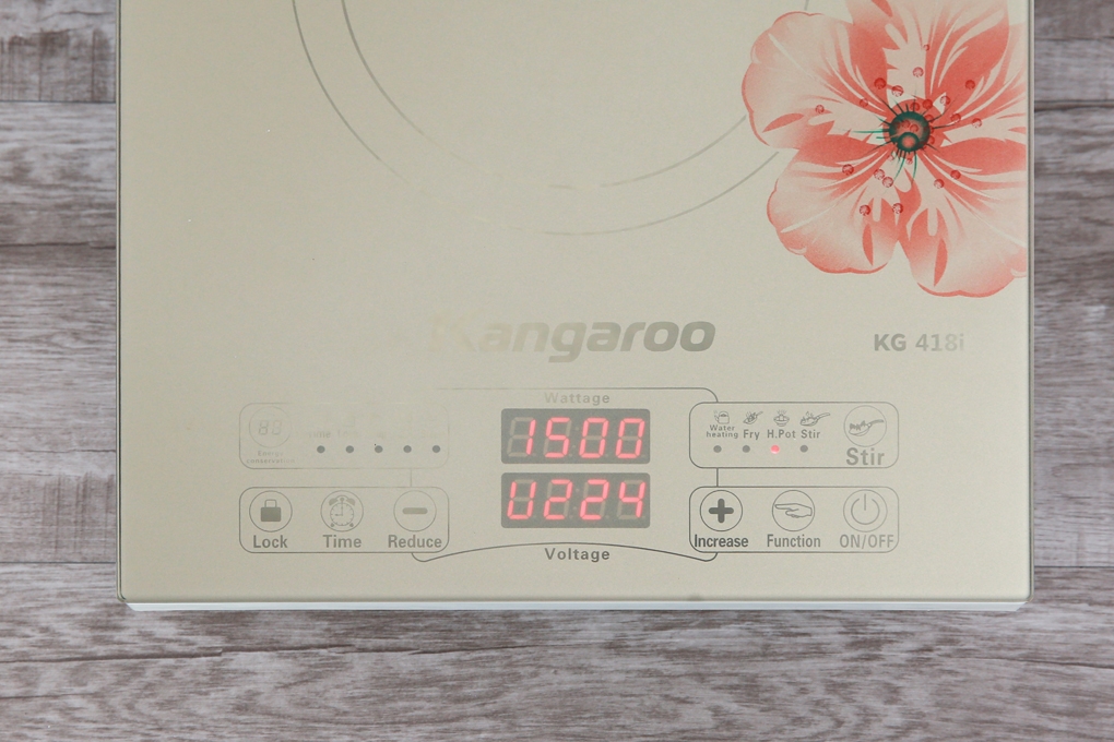 Bếp điện từ Kangaroo KG418i