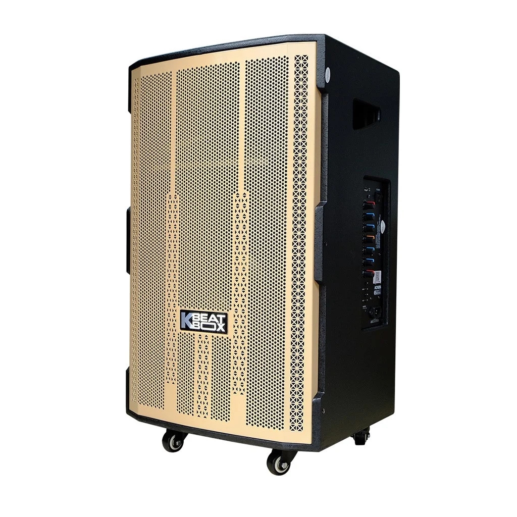 Loa di động Acnos CB4051G (Bass 40cm)