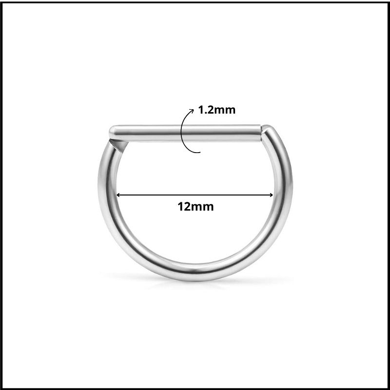 Khuyên tai hình chữ D giả vòng - 2 size - Titanium F136