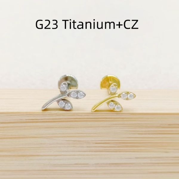 Bông tai chiếc lá đính đá nhân tạo - Titanium - 2 màu