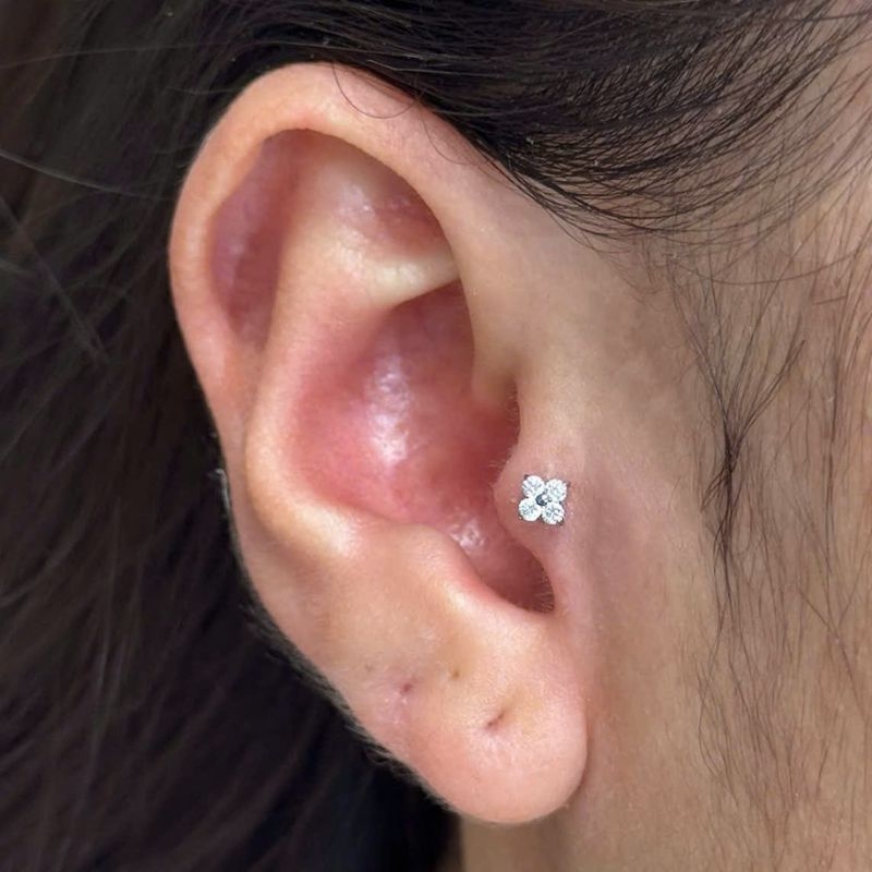 ok365 4 cánh mini dễ thương (màu mới)