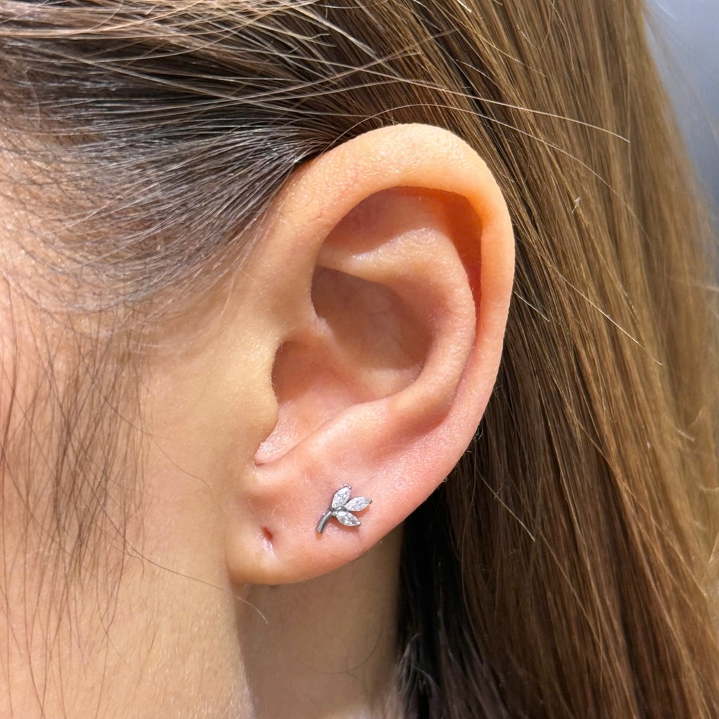 Titanium F136 - ok365 