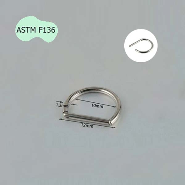 Khuyên tai hình chữ D giả vòng - 2 size - Titanium F136