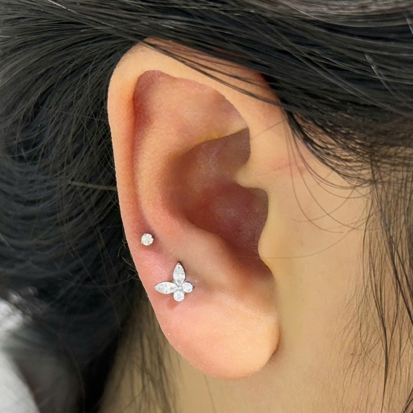 Bông tai con bướm - Titanium - 1.2*8mm