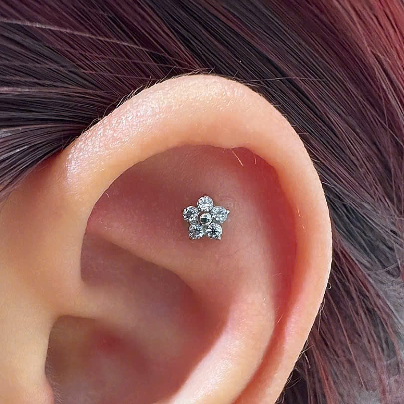 Khuyên Titan bông hoa 5 cánh lấp lánh - Có 2 màu