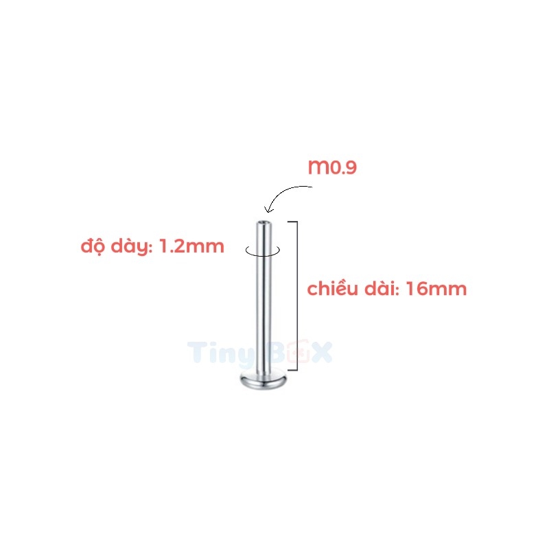 Thân khuyên Titanium (màu bạc, vàng) đầy đủ size