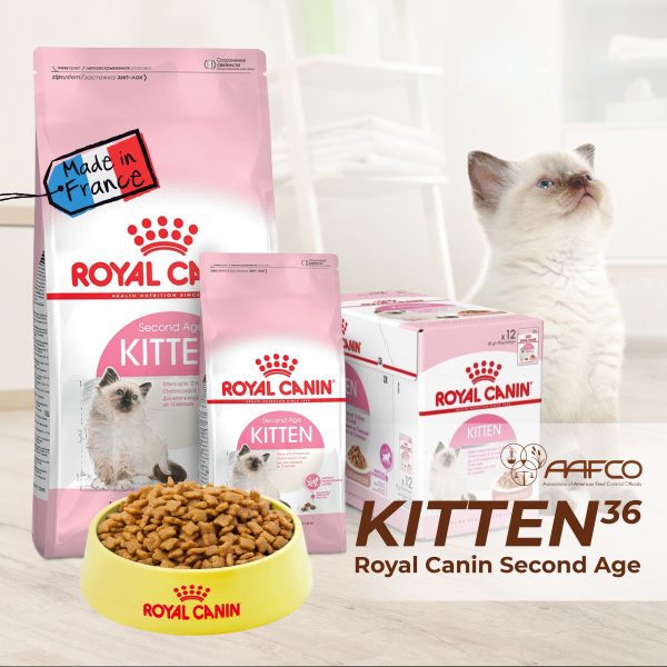 Thức ăn mèo Royal canin kitten 2kg
