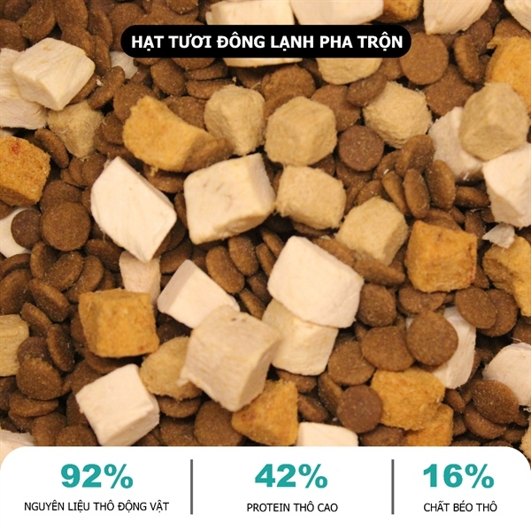 Thức ăn mèo cao cấp Bite of Wild 1kg
