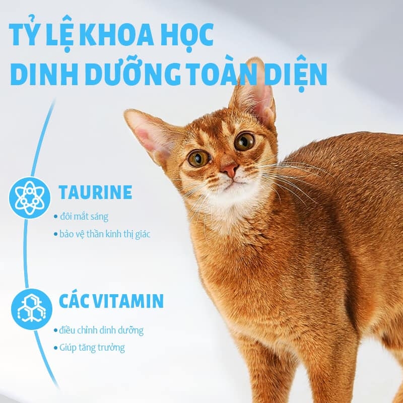 Thức ăn mèo MrVet 1kg mọi lứa tuổi 30% protein
