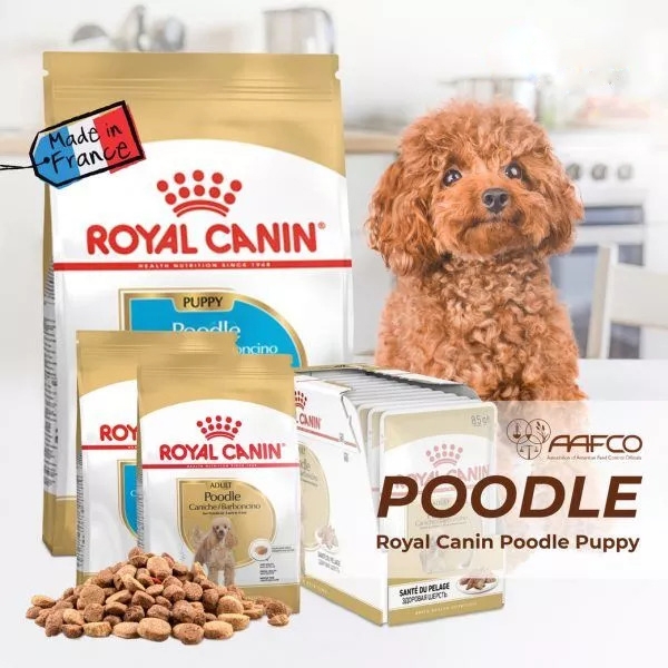 Thức ăn Royal Canin Poodle Puppy 500g