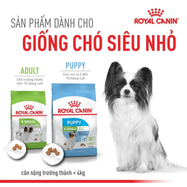 Thức ăn Royal canin Xsmall Aldut 500g