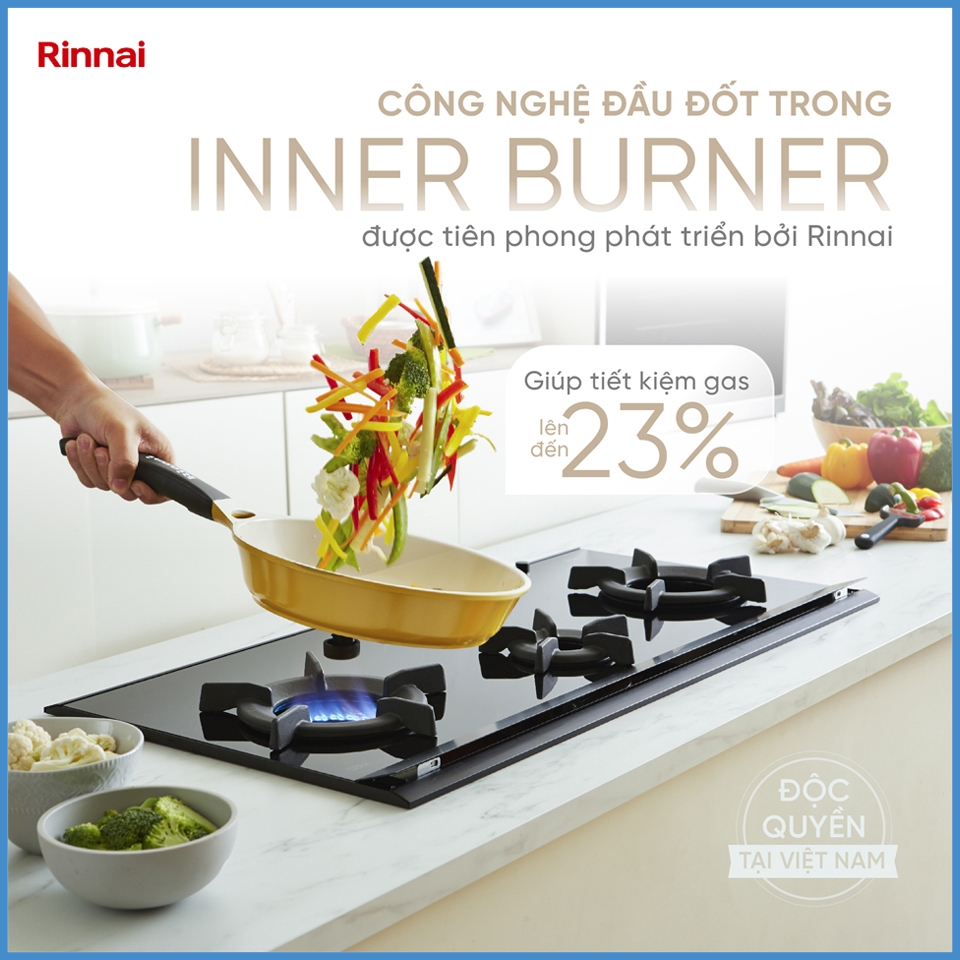 Bếp Gas Âm Rinnai RVB-2i(AB)