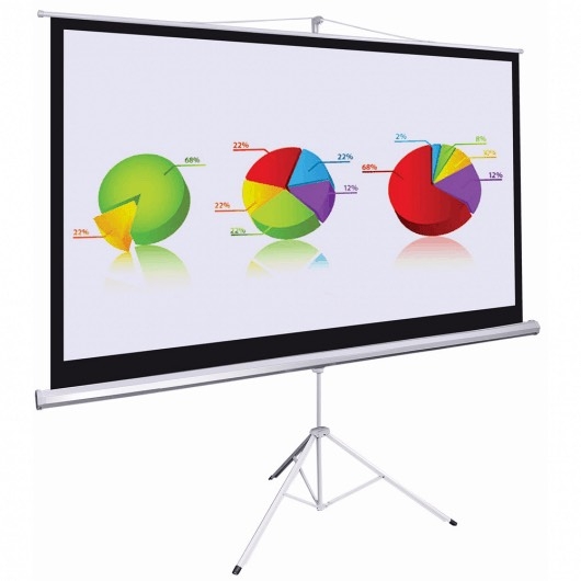 Màn chiếu 100 inch di động chính hãng