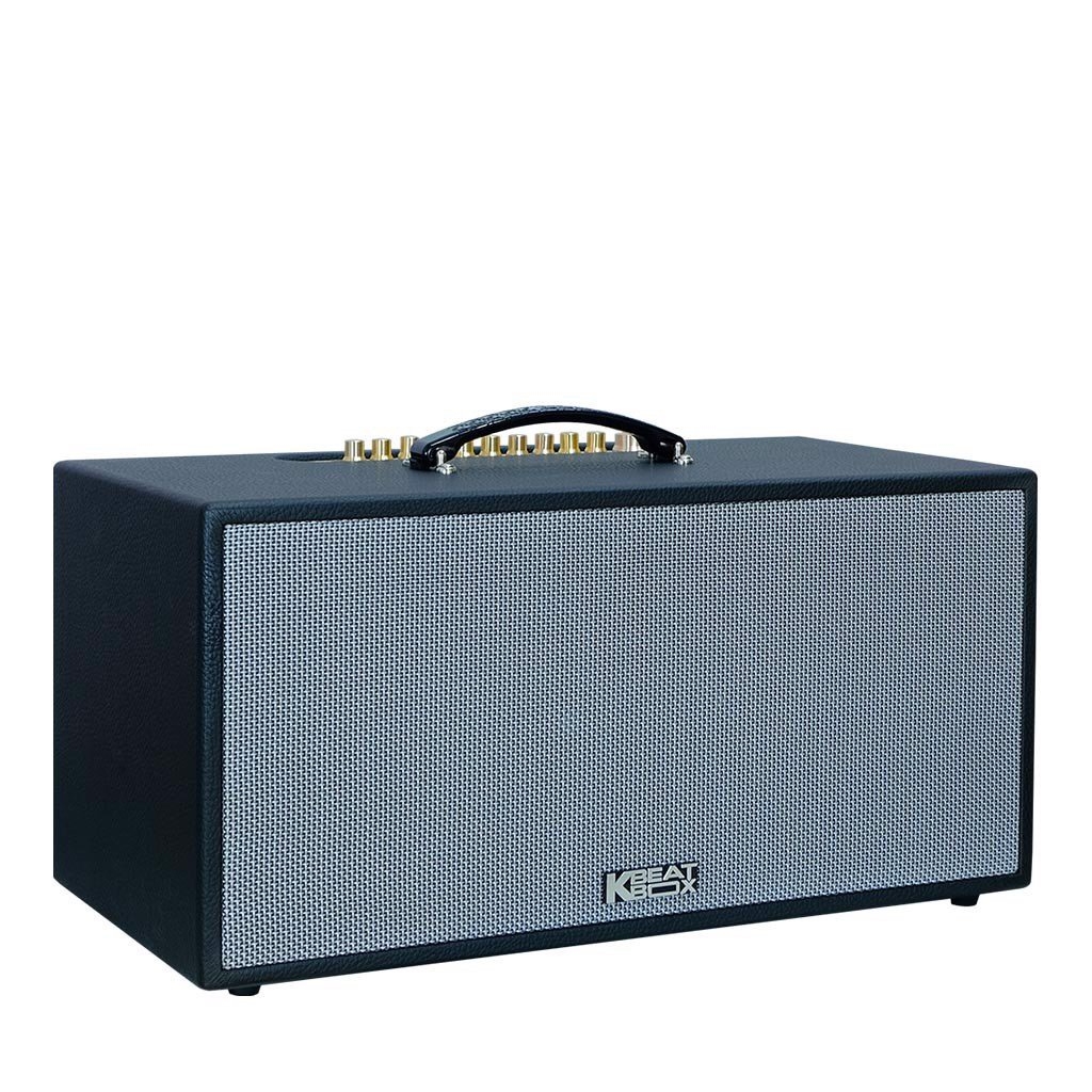 Loa Karaoke Di Động ACNOS CS451 Công Suất 250W Chính Hãng Phân Phối
