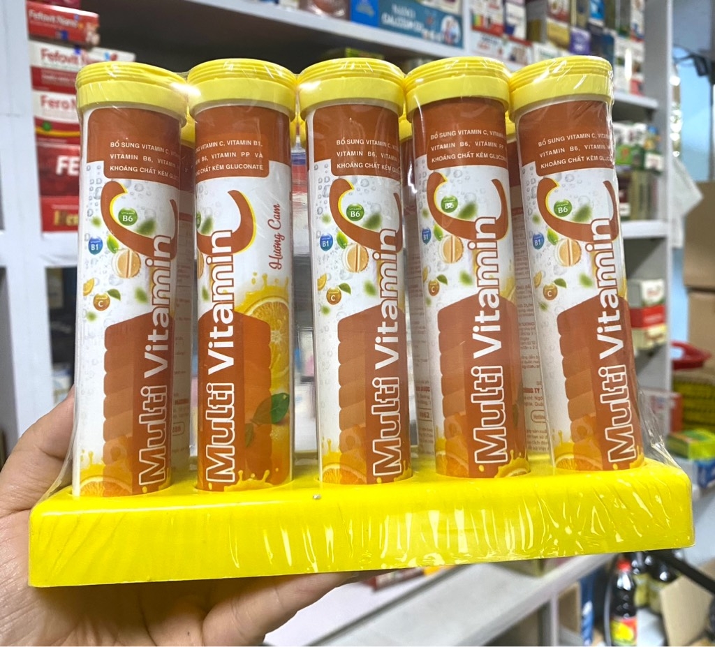 SỦI 4G MULTI CAM LỐC/10T