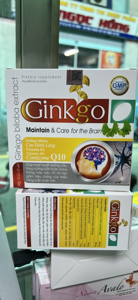 GINKO 240 lá vàng