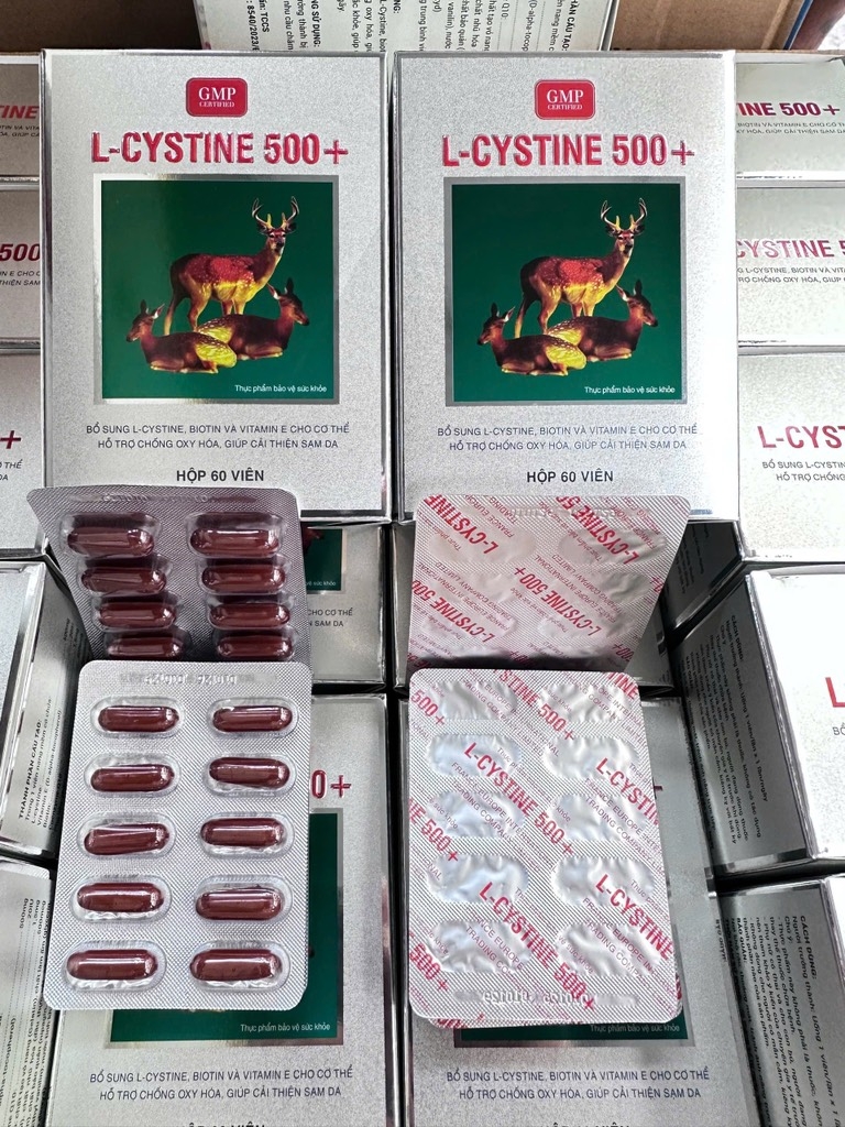LCYSTINE 500+