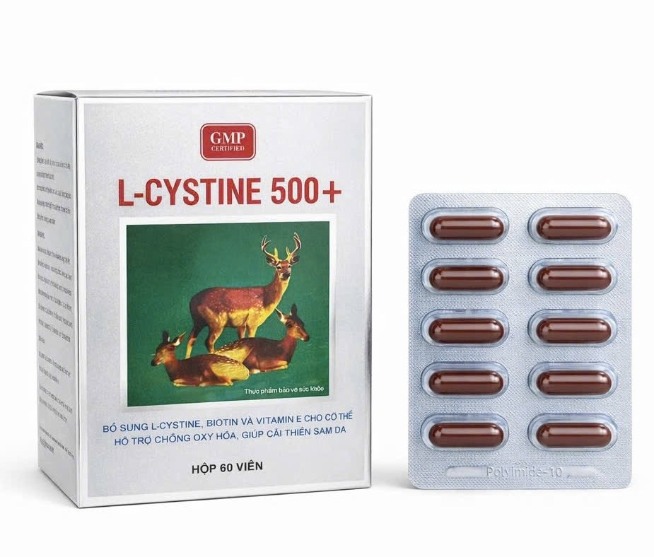 LCYSTINE 500+