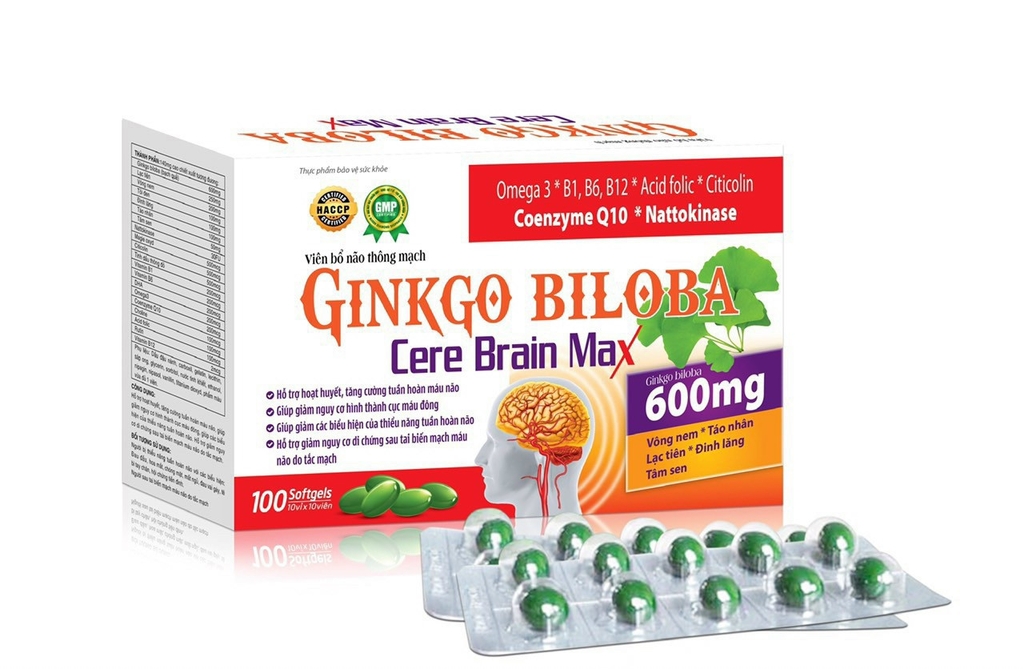 GINKGO BILOBA CERE BRAIN MAX 600